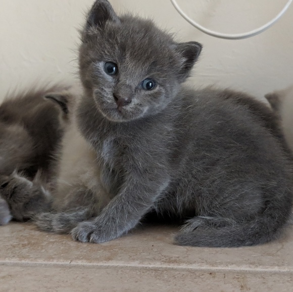 Here for Gaia and Healing! - Picture 2 of 8